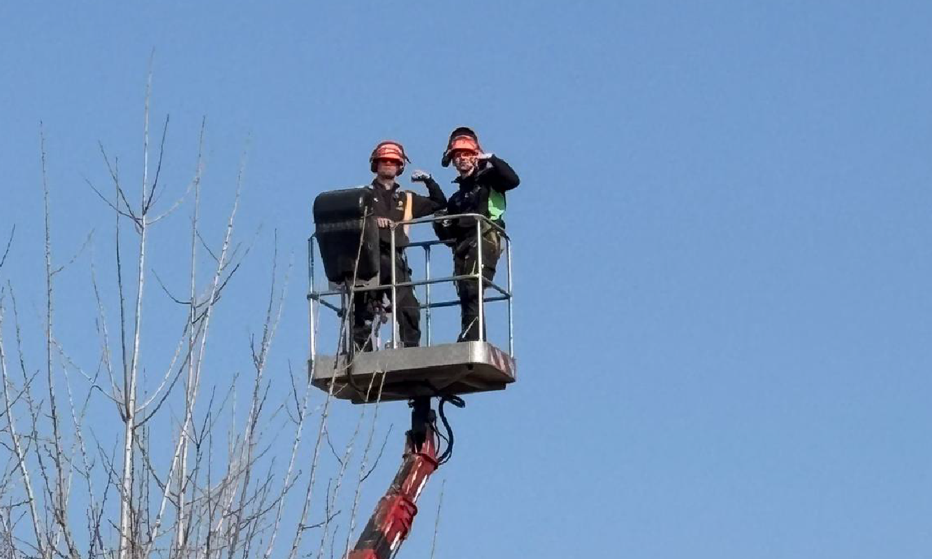 Installazione giardino